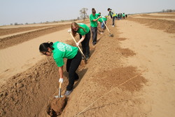 志愿者在挖树坑 Volunteer digging holes to plant trees